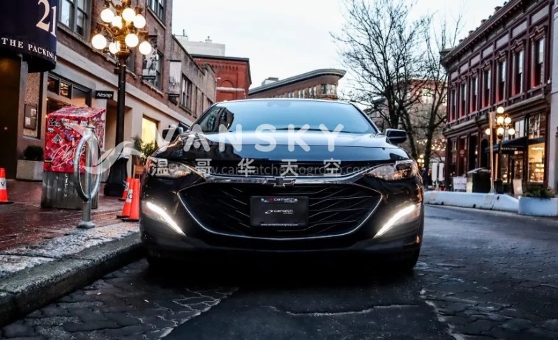 260128105600_图像 17.jpg